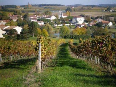 Maison De Village En Perigord Singleyrac エクステリア 写真